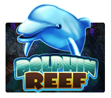 Dolphin Reef สล็อต xo 24